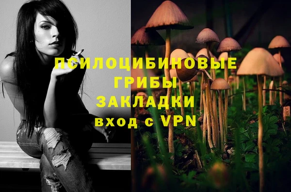 ALPHA PVP Баксан